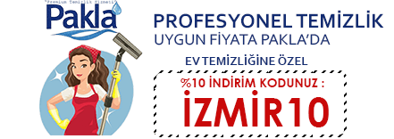 Profesyonel Ev Temizliği