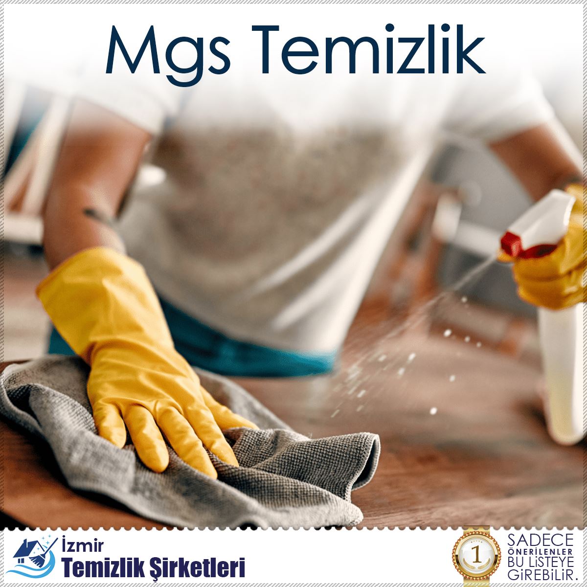 Mgs Temizlik