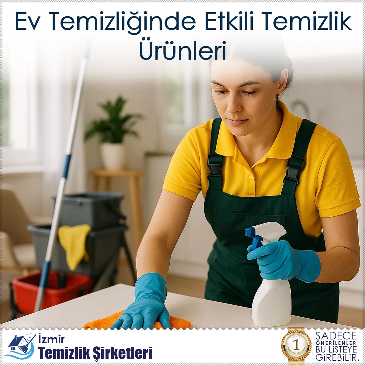 Ev Temizliğinde Etkili Temizlik Ürünleri : Kapak Görseli